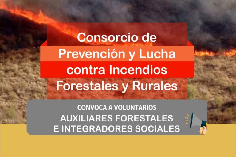 Incendios voluntarios web