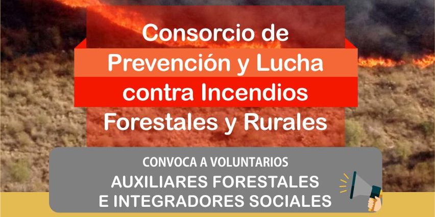 Incendios voluntarios web