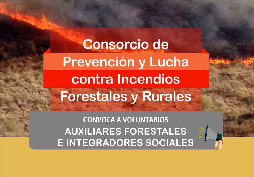 Incendios voluntarios web