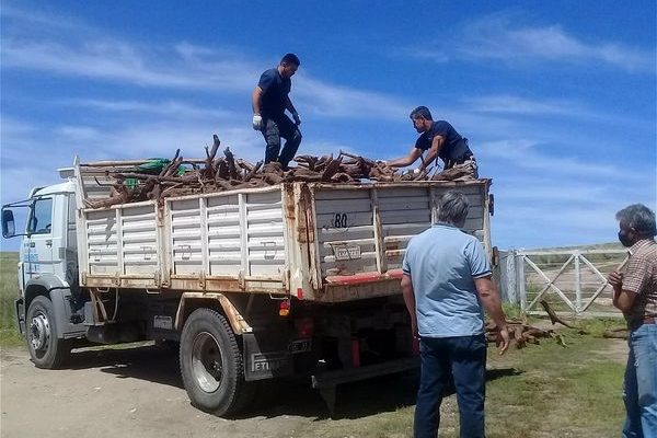 leña por conservacion