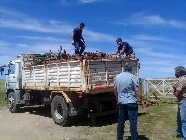leña por conservacion