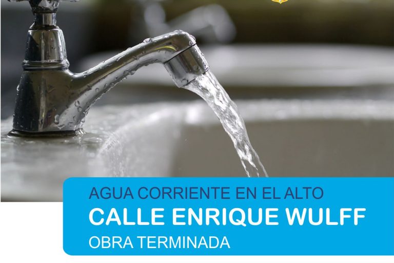 Obra enrique wulff