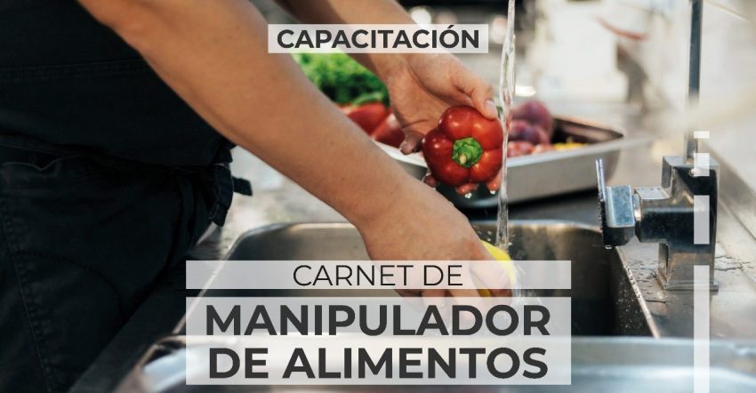 Carnet manipulador (2)