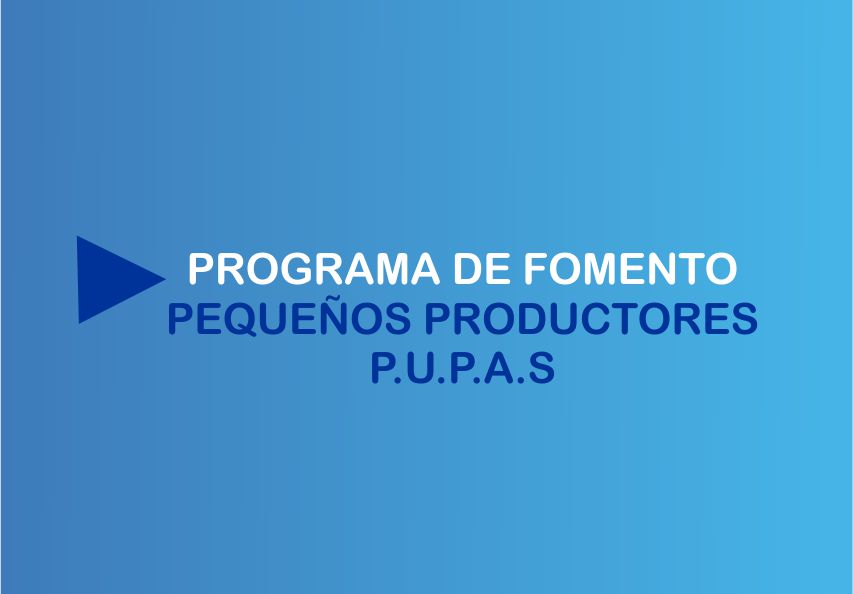 comercio pupas