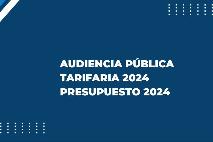 audicencia web