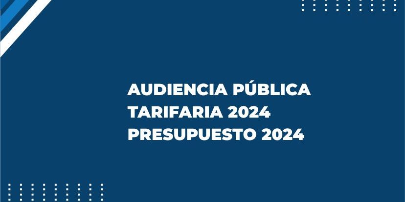audicencia web