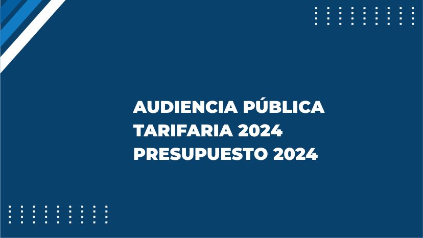 audicencia web