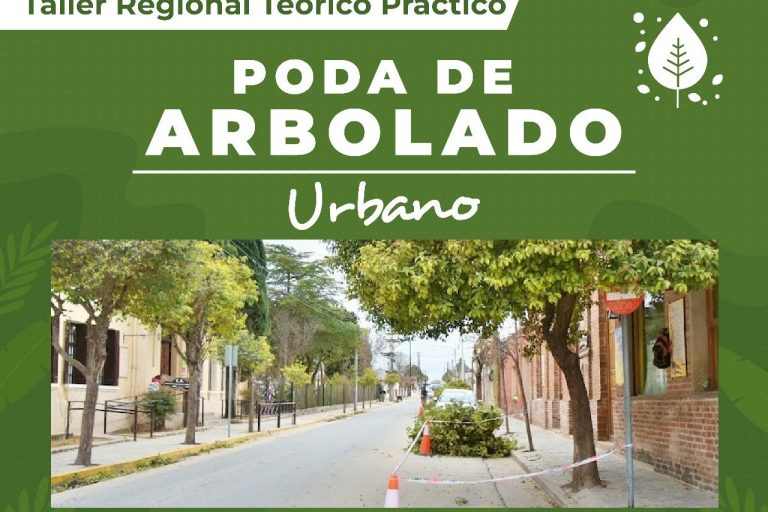 poda arbolado urbano (2)