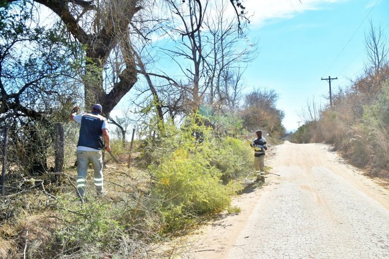 mantenimiento de caminos
