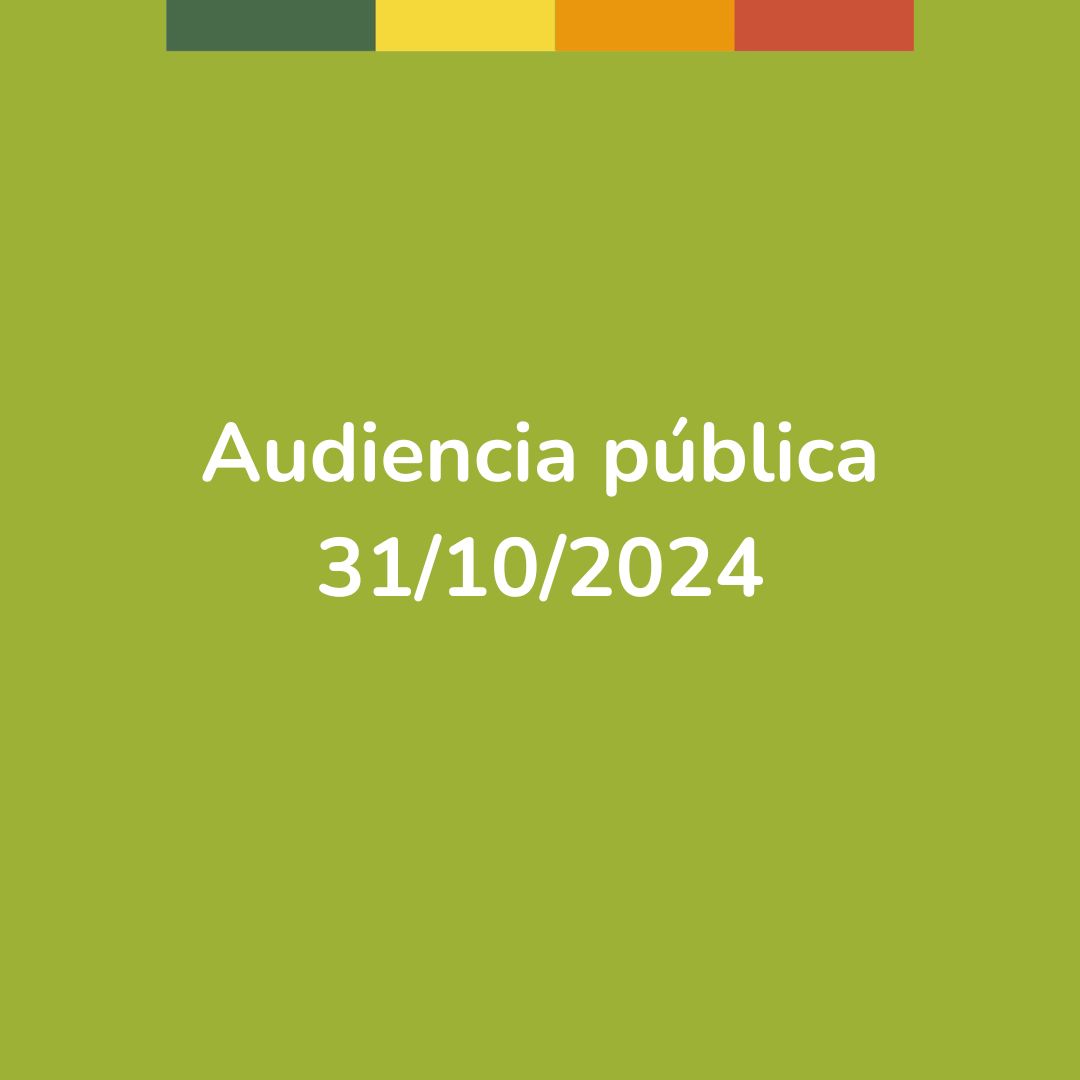 Audiencia pública 31102024